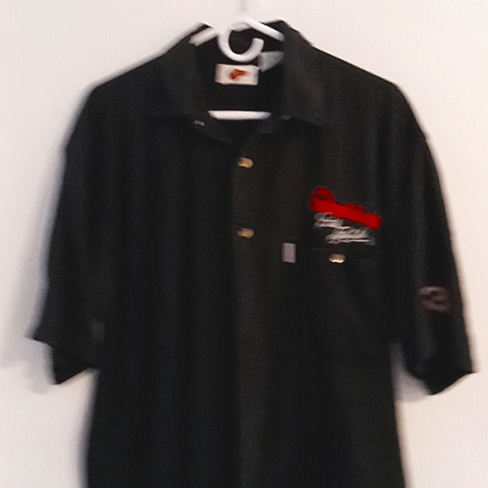 Dale Earnhardt number three the Intimidator button